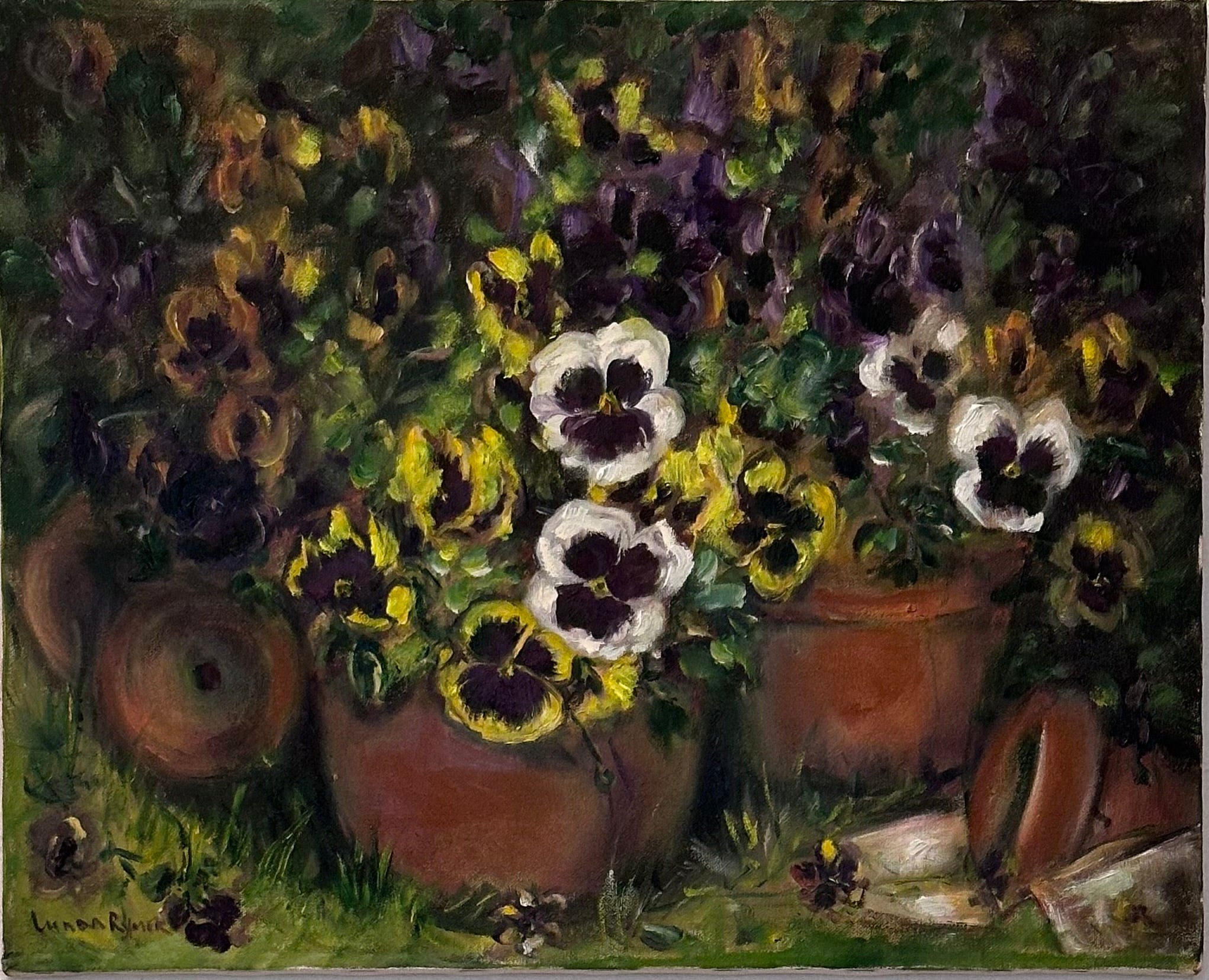 PANSY GARDEN 3